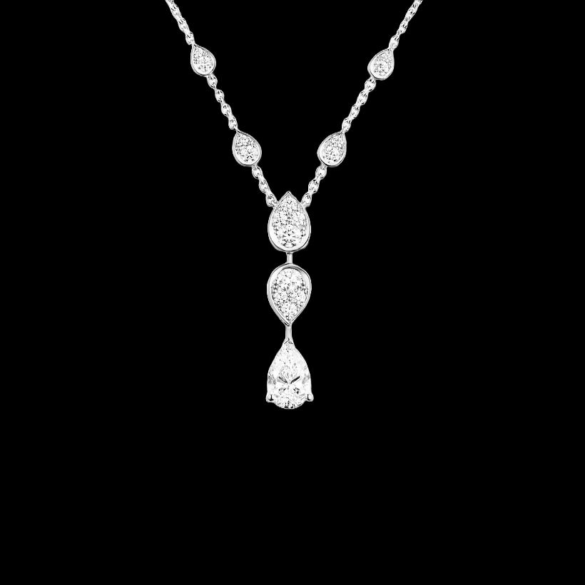 Collier Candid Egret
