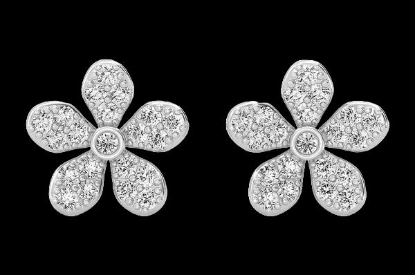 Boucles Flower Bloom