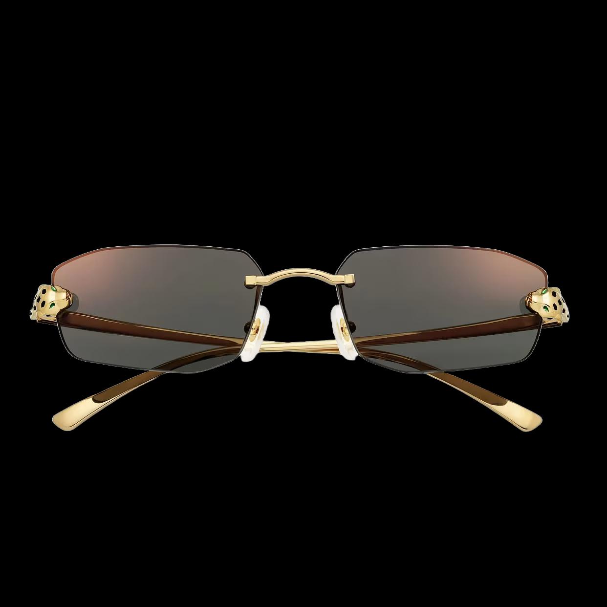 Lunettes Serious Feline